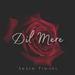 Dil Mere