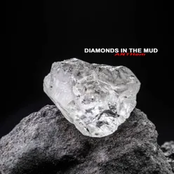 Diamonds in the Mud