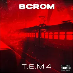 T.E.M 4