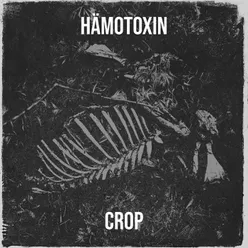 Hämotoxin