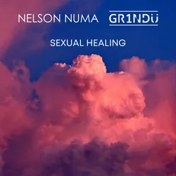 Sexual Healing (Radio Edit)