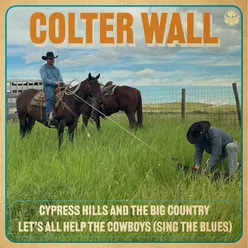 Let's All Help the Cowboys (Sing the Blues)
