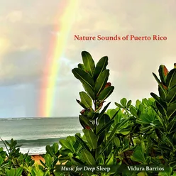 Nature Sounds of Puerto Rico