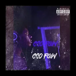 Cso Flow