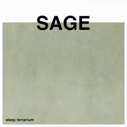 Sage (Noise)