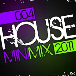House Mini Mix 004 - 2011 Full Continuous DJ Mix