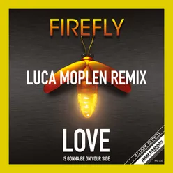 Love Is Gonna Be On Your Side Moplen Remix