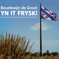 Boudewijn De Groot Yn It Frysk