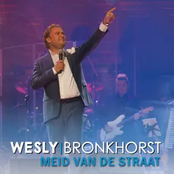 Meid Van De Straat Karaoke Versie