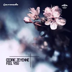 Feel You Original Mix