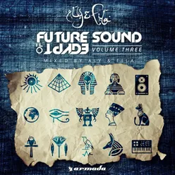 Heart Like An Ocean (Mix Cut) Aly &amp; Fila Remix