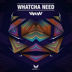 Whatcha Need Extended Mix