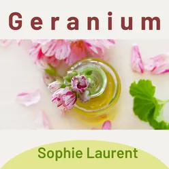 Geranium