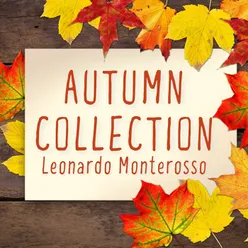 Autumn Collection