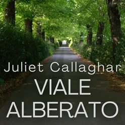 Viale Alberato