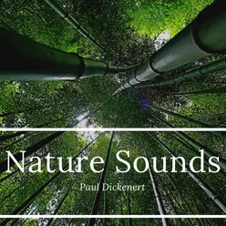 Nature Sounds