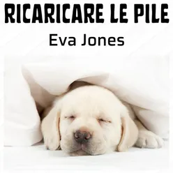 Ricaricare Le Pile