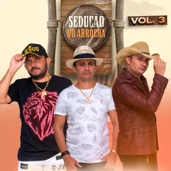 Sedução Do Arrocha, Vol. 3