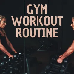 Gym Workout Routine
