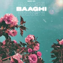 BAAGHI