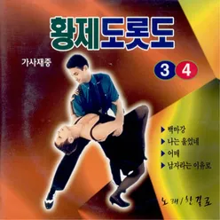 하룻밤 풋사랑