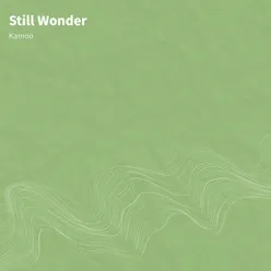 Still Wonder