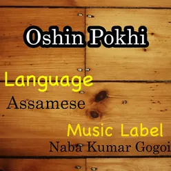 Oshin Pokhi