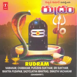 Rudram,Namakam,Chamakam