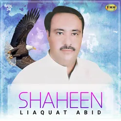 Shaheen