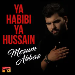 Ya Ilahi Mujhe Abbas Sa Beta De De