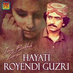 Hayati Royendi Guzri