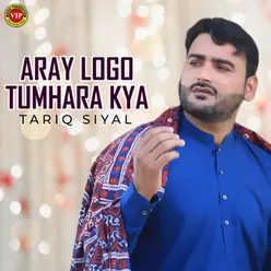Aray Logo Tumhara Kya