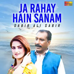 Ja Rahay Hain Sanam