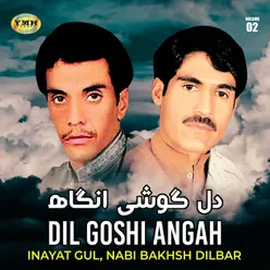 Dil Goshi Angah