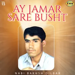 Ay Jamar Sare Busht