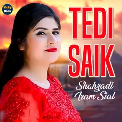 Tedi Saik