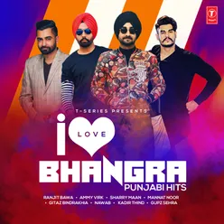 I Love Bhangra - Punjabi Hits