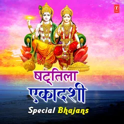 Dhun (Hari Bol Hari Bol) [From "Bhajan Sandhya"]