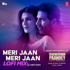 Meri Jaan Meri Jaan Lofi Mix