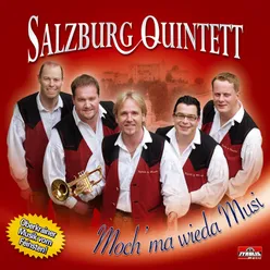 Grazer Melodienstrauß: Musikfest / Bariton Zwerg / Auf der Riederalm / Musik, Stimmung &amp; Humor / Salzburgerpolka / Hand in Hand / Das Bariton Baby / Bariton Zwerg