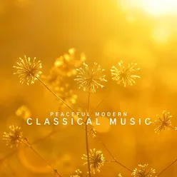 Peaceful Modern Classical Music