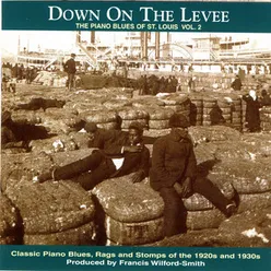 Down On The Levee: The Piano Blues of St. Louis, Vol. 2