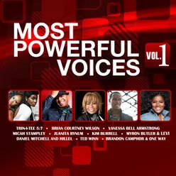 Most Powerful Voices, Vol. 1