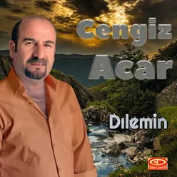 Oy Dın Dınê