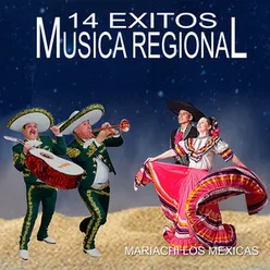 14 Exitos Musica Regional