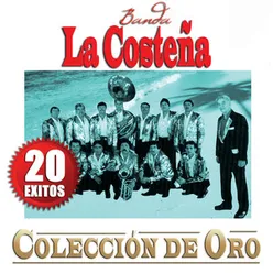 Colección De Oro - 20 Exitos