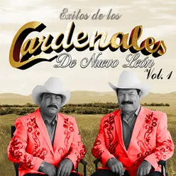 Exitos De Los Cardenales, Vol. 1