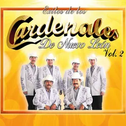 Exitos De Los Cardenales, Vol. 2