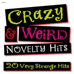 Crazy & Weird Novelty Hits - 20 Very Strange Hits