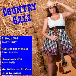 Country Gals, Vol. 1